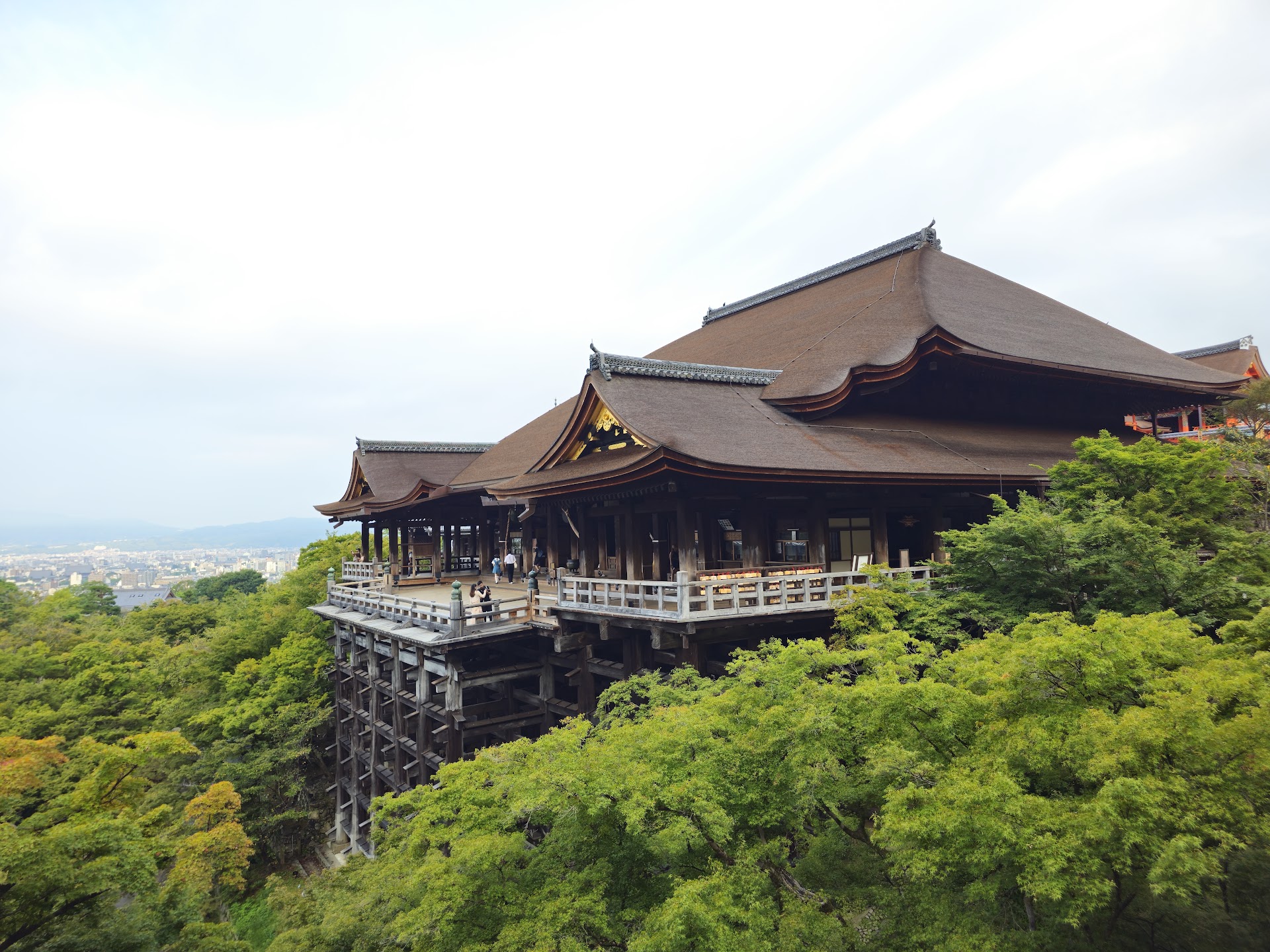京都の路地裏に「ちいさな発見」。地元に愛される穏やかな和菓子時間